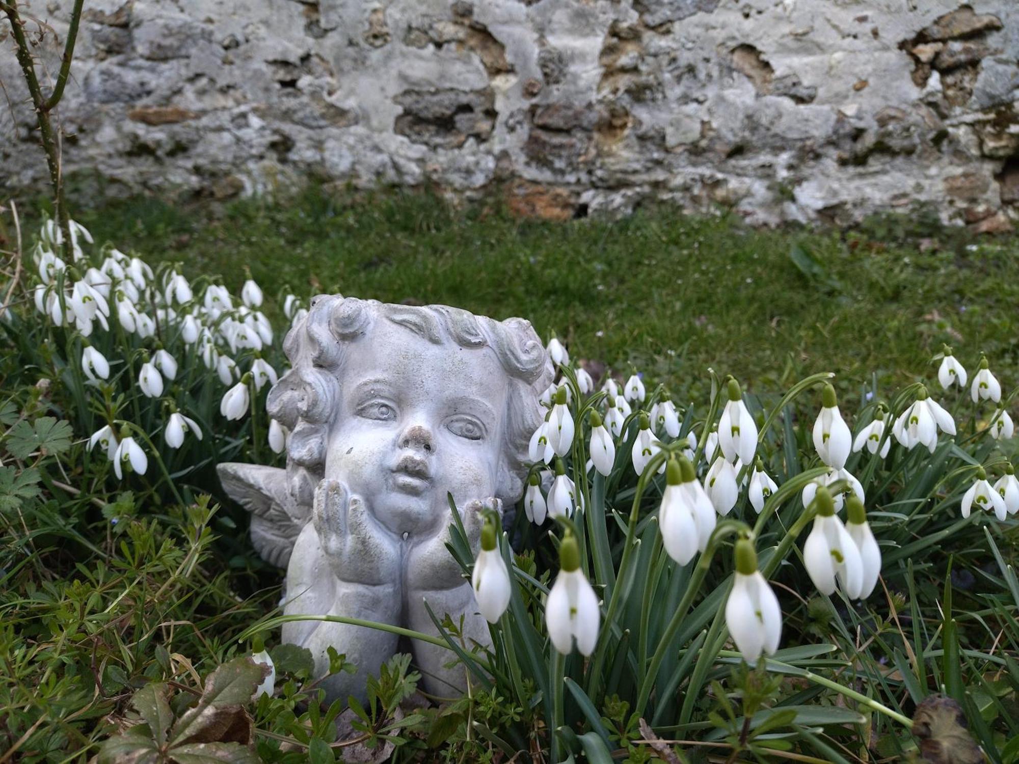 Gite De La Pierre Bleue, Maison A La Campagne Verdon  Esterno foto